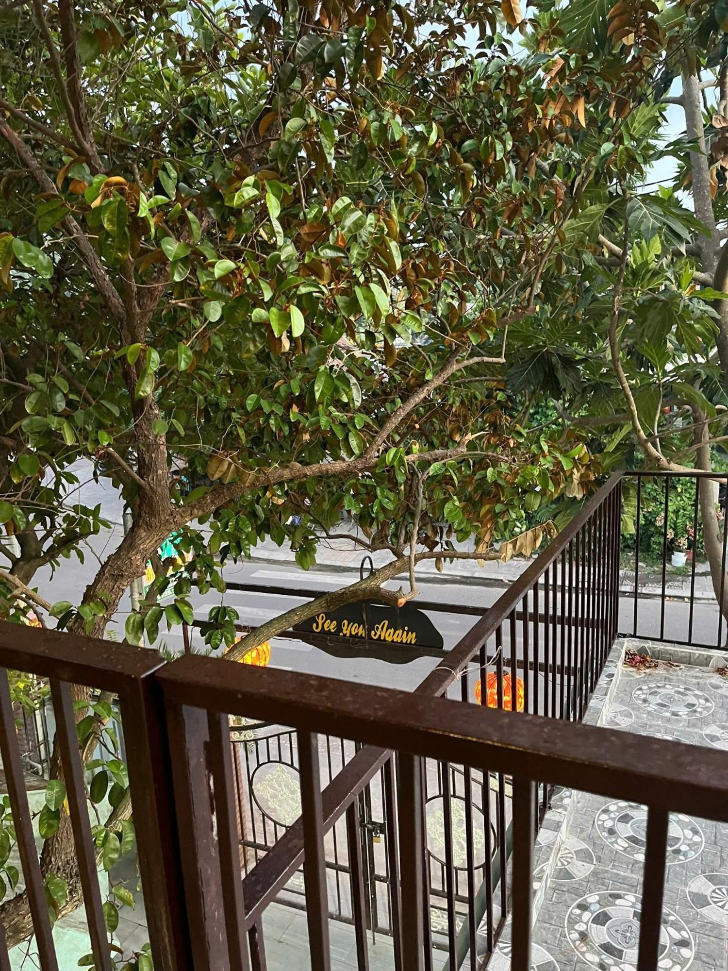 Milk Fruit Homestay - An Bang Beach Hoi An Exteriör bild